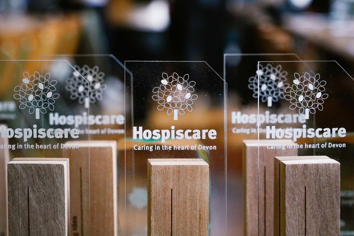Hospiscare CSR Award