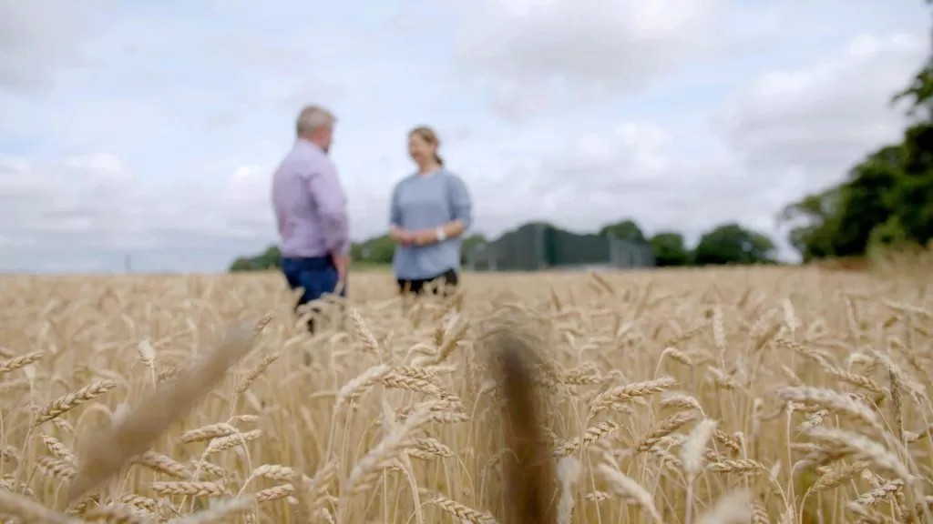 Soil Association accredited organic farm